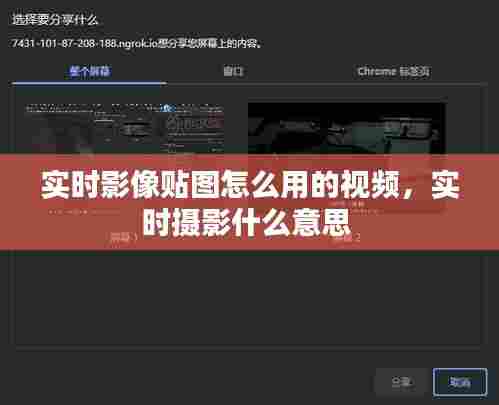 二手车交易 第390页