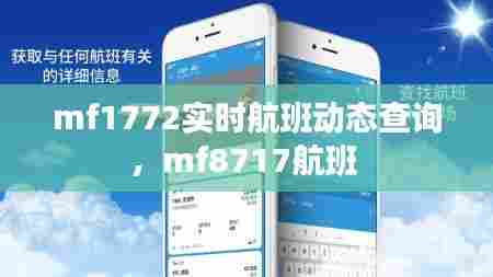mf1772实时航班动态查询,mf8717航班