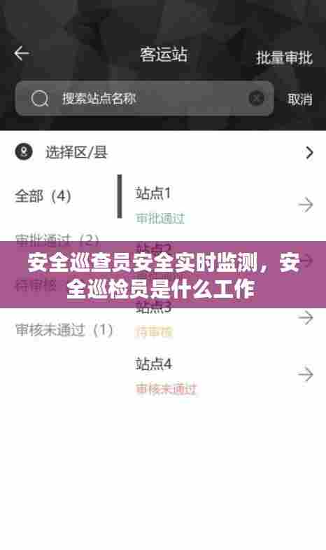 安全巡查员安全实时监测,安全巡检员是什么工作