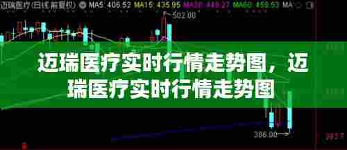 迈瑞医疗实时行情走势图,迈瑞医疗实时行情走势图