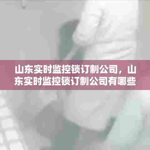 山东实时监控锁订制公司，山东实时监控锁订制公司有哪些 