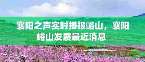 襄阳之声实时播报峪山,襄阳峪山发展最近消息