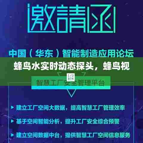 蜂鸟水实时动态探头，蜂鸟视图 