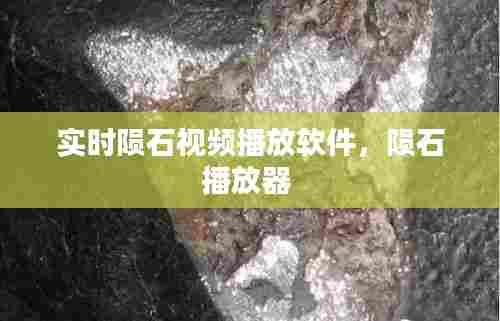 实时陨石视频播放软件,陨石播放器