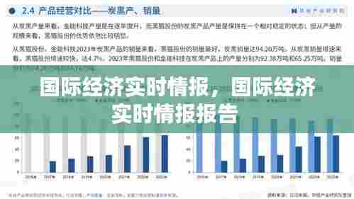 国际经济实时情报,国际经济实时情报报告