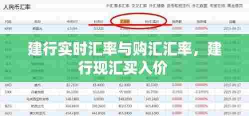 建行实时汇率与购汇汇率，建行现汇买入价 