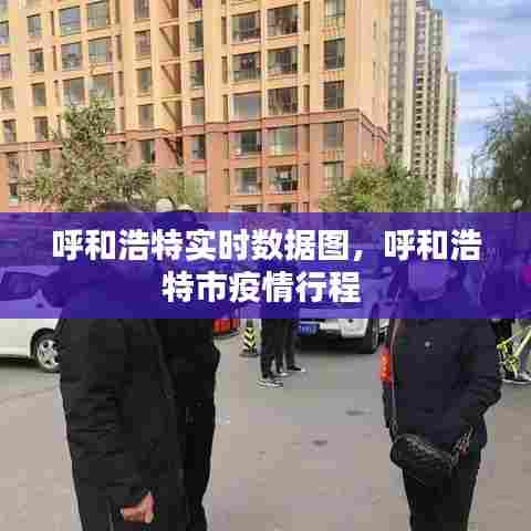 呼和浩特实时数据图,呼和浩特市疫情行程
