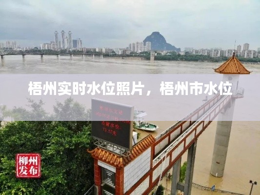 梧州实时水位照片,梧州市水位