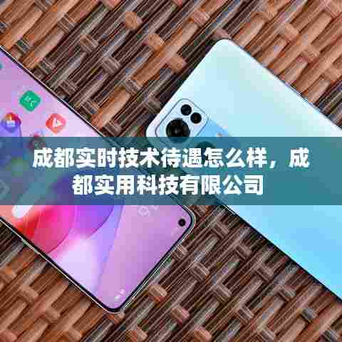 成都实时技术待遇怎么样，成都实用科技有限公司 