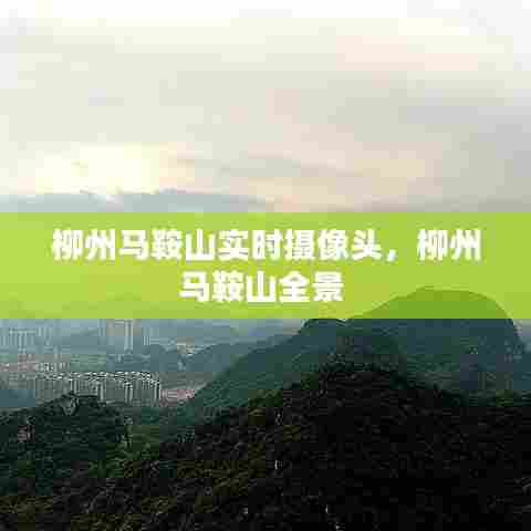 柳州马鞍山实时摄像头,柳州马鞍山全景