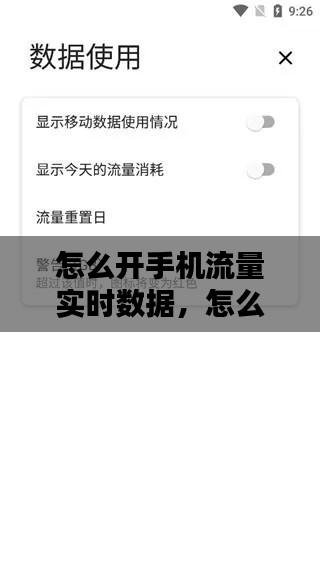 怎么开手机流量实时数据,怎么开手机流量实时数据不显示
