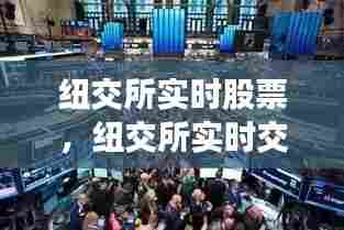 纽交所实时股票,纽交所实时交易情况