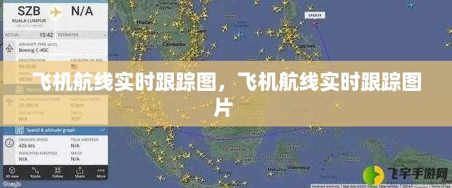 飞机航线实时跟踪图,飞机航线实时跟踪图片