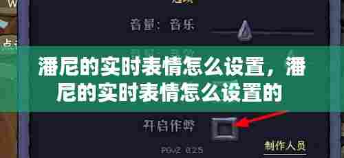 潘尼的实时表情怎么设置,潘尼的实时表情怎么设置的