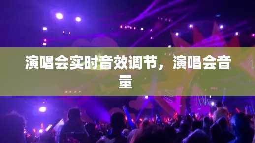 演唱会实时音效调节,演唱会音量