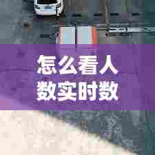 怎么看人数实时数据，怎么看人数实时数据图 
