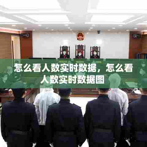 怎么看人数实时数据,怎么看人数实时数据图