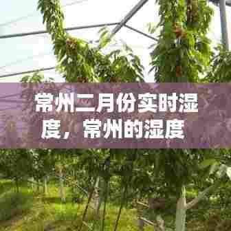 常州二月份实时湿度，常州的湿度 