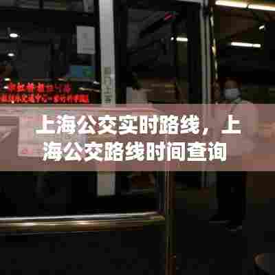 上海公交实时路线,上海公交路线时间查询