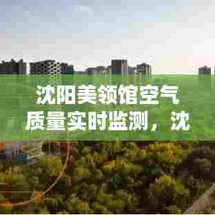 沈阳美领馆空气质量实时监测,沈阳美领馆空气污染指数