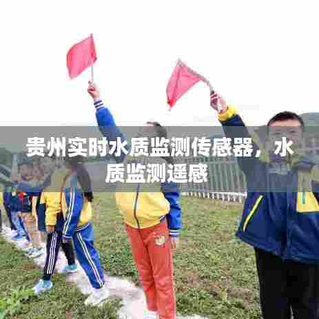 贵州实时水质监测传感器,水质监测遥感