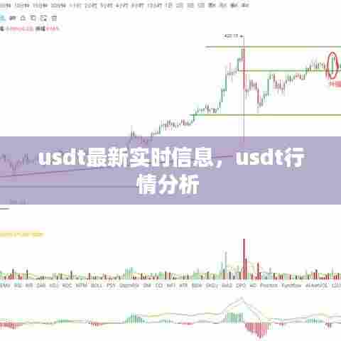 usdt最新实时信息，usdt行情分析 
