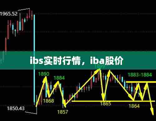 ibs实时行情,iba股价