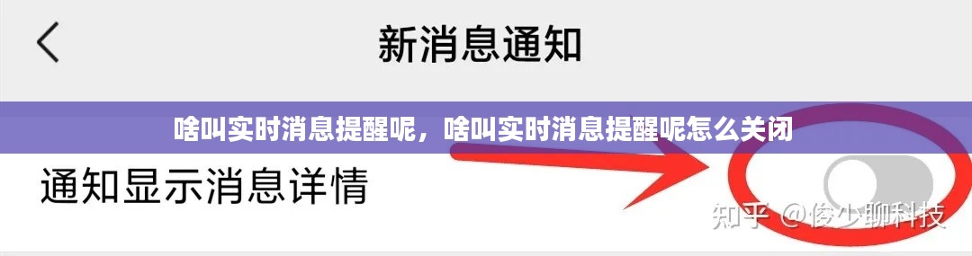 啥叫实时消息提醒呢,啥叫实时消息提醒呢怎么关闭