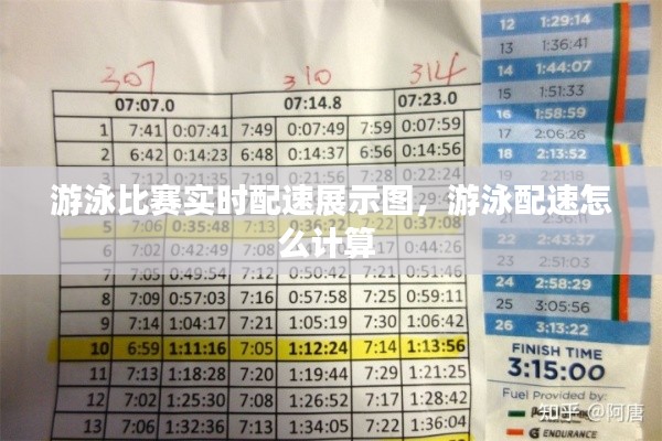 游泳比赛实时配速展示图,游泳配速怎么计算
