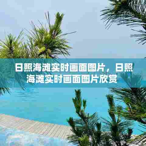 日照海滩实时画面图片,日照海滩实时画面图片欣赏
