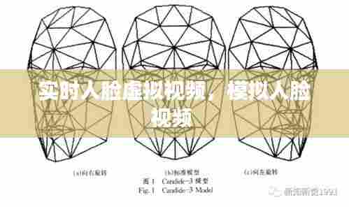 实时人脸虚拟视频,模拟人脸视频
