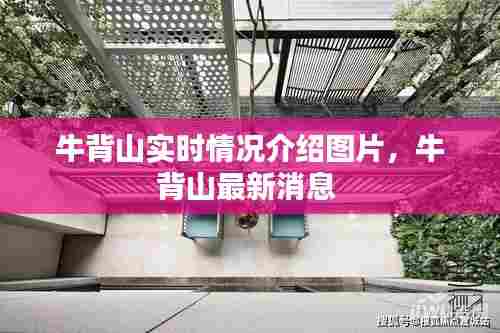 牛背山实时情况介绍图片，牛背山最新消息 