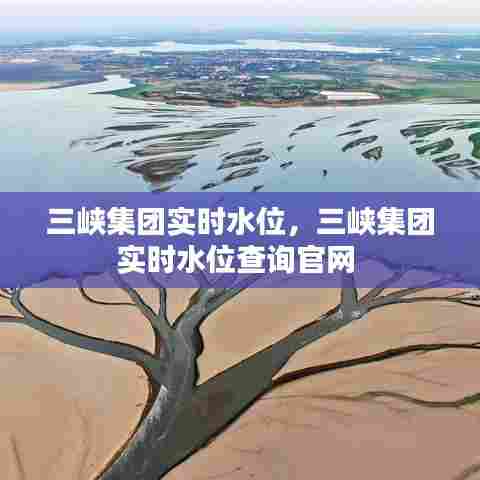 三峡集团实时水位,三峡集团实时水位查询官网