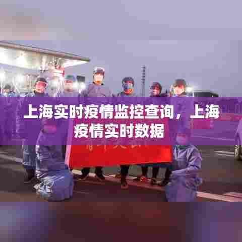 上海实时疫情监控查询,上海疫情实时数据