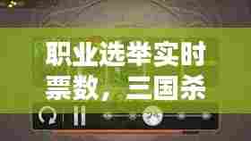 职业选举实时票数,三国杀加一马减一马什么意思