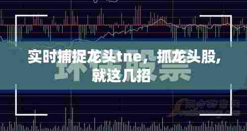 实时捕捉龙头tne,抓龙头股,就这几招
