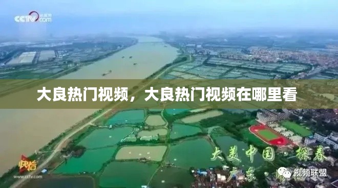 大良热门视频,大良热门视频在哪里看