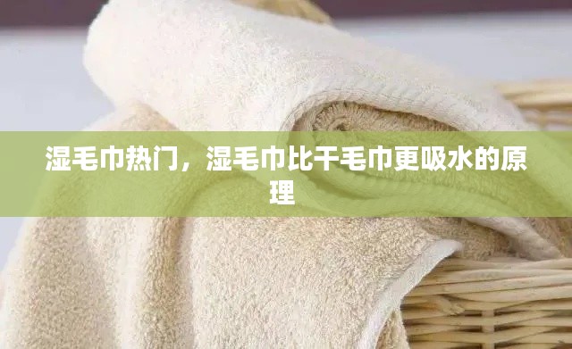 湿毛巾热门,湿毛巾比干毛巾更吸水的原理