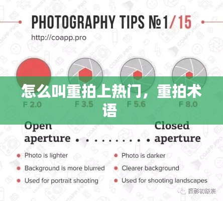 龙飞九五 第7页