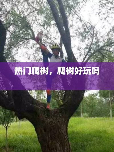 热门爬树，爬树好玩吗 
