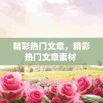 精彩热门文章，精彩热门文章素材 