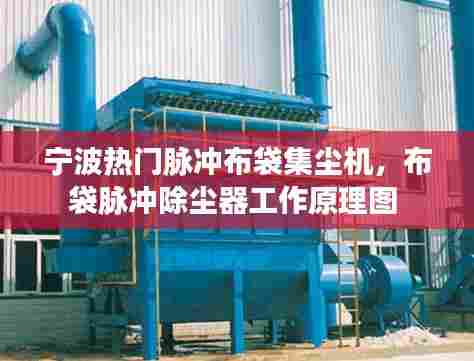 宁波热门脉冲布袋集尘机，布袋脉冲除尘器工作原理图 