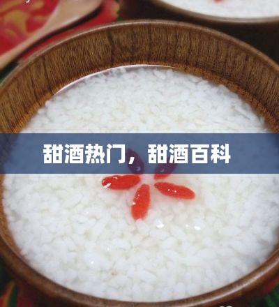 甜酒热门,甜酒百科