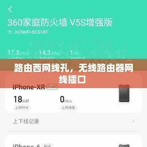 路由西网线孔,无线路由器网线插口