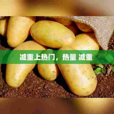 减重上热门，热量 减重 