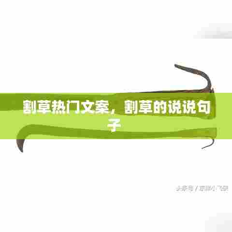 割草热门文案,割草的说说句子