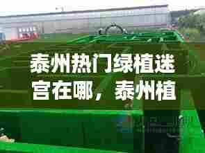 泰州热门绿植迷宫在哪,泰州植物园最新消息