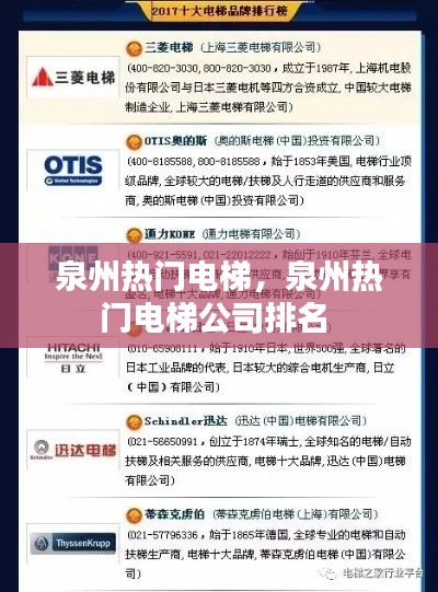 泉州热门电梯,泉州热门电梯公司排名