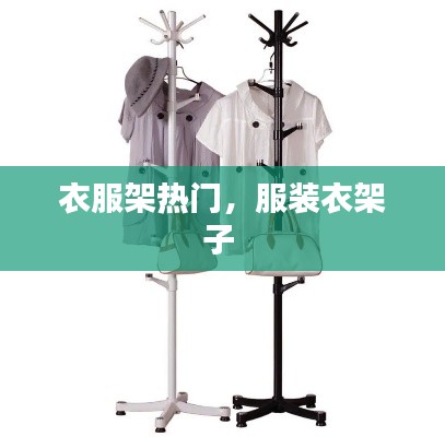 衣服架热门，服装衣架子 