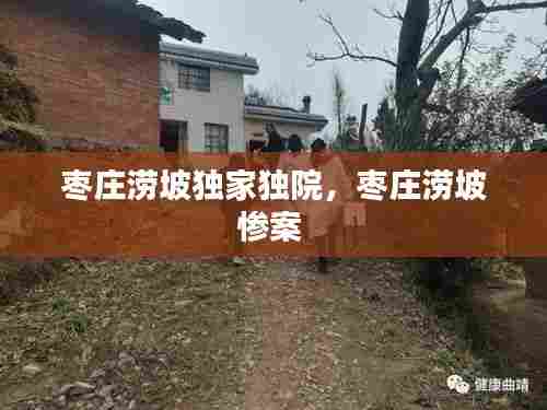 枣庄涝坡独家独院,枣庄涝坡惨案